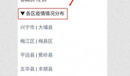 梅州最新爆料消息疫情情况,多区现新增病例，防控措施升级”
